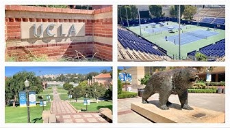 加州大学洛杉矶分校 (UCLA)
