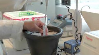 Investigación en Biomedicina - UCA