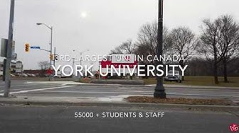 4K YORK UNIVERSITY TORONTO 55,000+ STUDENTS & STAFF 2019