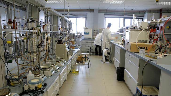 Universidad Rey Juan Carlos