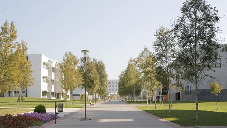 Universidad Rey Juan Carlos