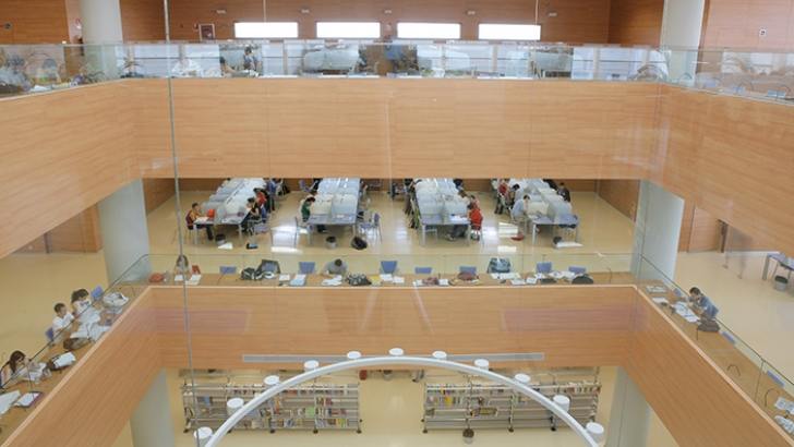 Universidad Rey Juan Carlos