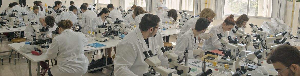 University of Murcia