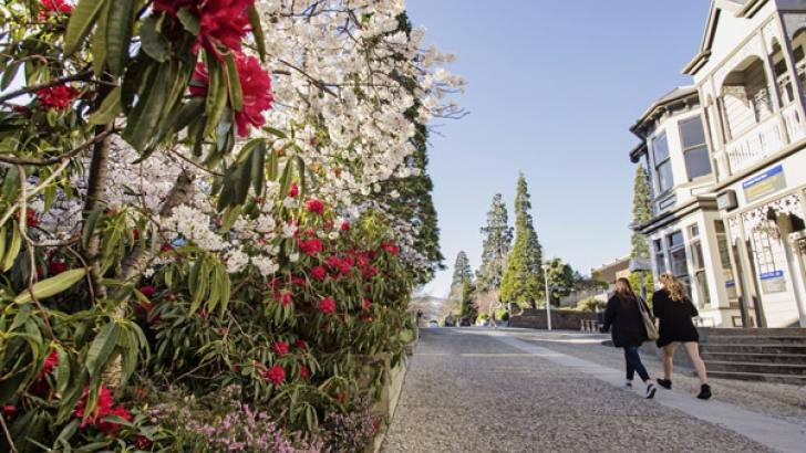 University of Otago