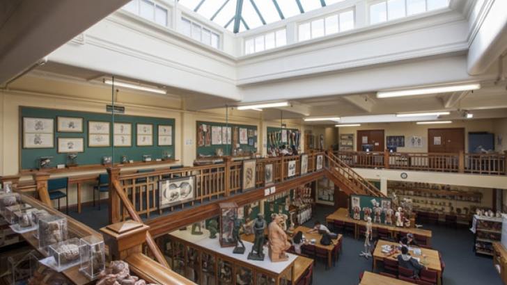 University of Otago