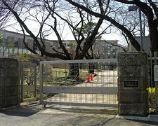 Hosei University Kokusai High School