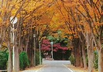 Ikeda Junior High School Attached to Osaka Kyoiku University