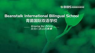 Beanstalk International Bilingual School Kunming