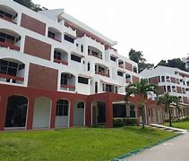 Pelita International School
