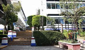 The Edron Academy