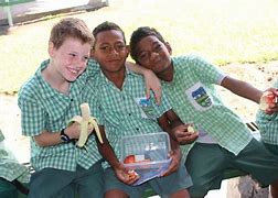 Woodford International School