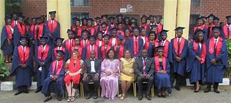 British Nigerian Academy