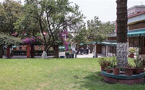 Colegio Alexander Bain S.C.
