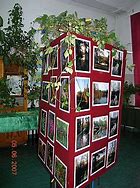 Liceum Ogolnoksztalcace nr V