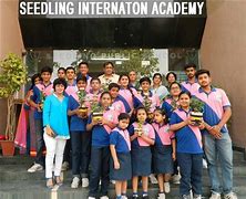 Seedling International Academy