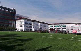 Colegio Internacional de México