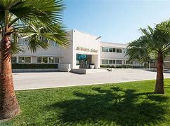 St. Peter's International School