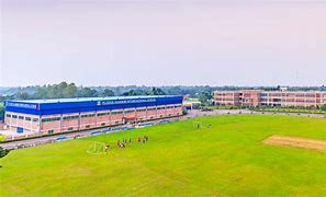 Pledge Harbor International School