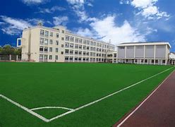 Castelli International School