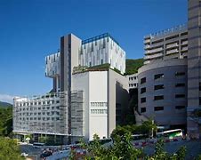 Singapore International School (Hong Kong)