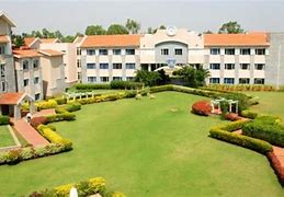 The International School Bangalore