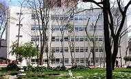 FMV Erenköy Işık High School