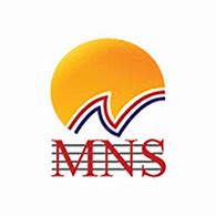 Maadi Narmer School