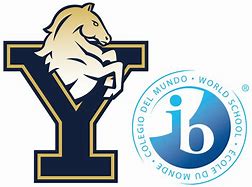 York International School