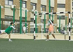 Concordia Lycée International Francais en Egypte