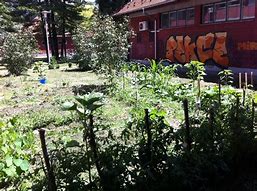 Matija Gubec International School
