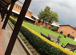 Colegio San Viator Bilingüe Internacional