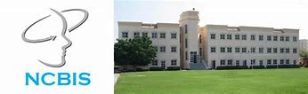 New Cairo British International School
