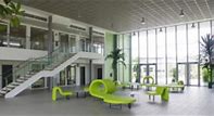 The International School of Gabon Ruban Vert