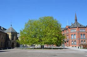 Katedralskolan in Lund