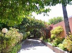 Institut Scolaire Les Palmiers