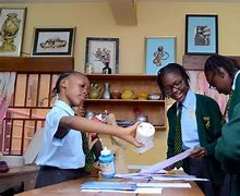 Premier International School