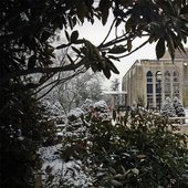 圣约瑟夫大学