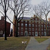 哈佛大学