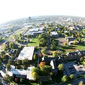 杜利大学