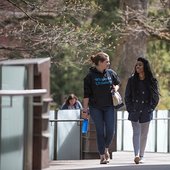 韦尔斯利学院