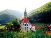 Franciscan University of Steubenville